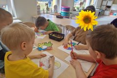 a9e5c8b3-44f5-4067-9da6-e6b31151a9ec