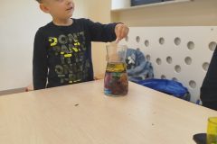 IMG_20250515_110529
