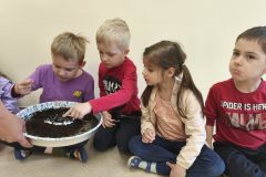 IMG-20250520-WA0000