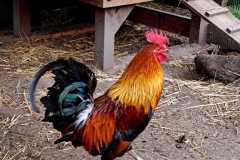 IMG-20250522-WA0002
