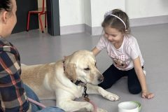 9cbe5e51-1c8e-4f81-a57c-dbdb4126d847