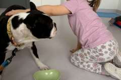 att.ByYqSpZNrf3q_ZtucLKQE6ocdRv1zT8X4kHStIg8_XA