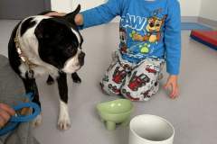 att.u3NhlSw6UlZNR6wSWw5ChuNekTscuO9ucmZv4Nvy5PI