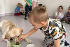 b0624cb2-2fb0-4db5-891b-ab550d2c6c25