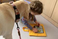 cc581ace-7516-446e-95ae-5cfa1bbde85b