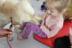 IMG-20260514-WA0043