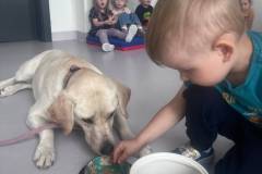 IMG-20260611-WA0010