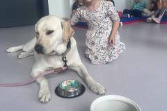 IMG-20260611-WA0015