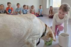 647204401_1459421882516678_6309883872476984974_n