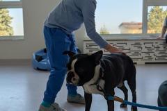 PXL_20260313_083459338