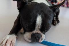 PXL_20260313_083835811TS-000