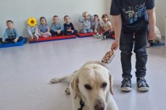 48f62912-ed07-4387-ab96-7d0c7132c61a