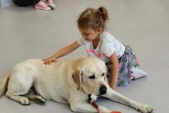 Messenger_creation_31B97EF7-FE6F-4B0E-AE8C-E0561A795495