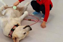 Messenger_creation_4545A7F9-E411-4CEE-B984-ED25B4412576