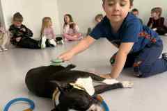 Messenger_creation_86DB7E90-34D7-4EA8-8976-5922F5FF30FA