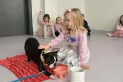 Messenger_creation_BBFEFD92-95CF-4DCB-B2D1-9BE91B63AF21