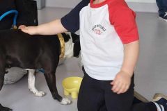 Messenger_creation_97767AE0-8973-4B9A-9D01-619F37C01502