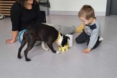 Messenger_creation_AEE1F54F-FE35-4EB7-B42E-3AE21B30D2B4