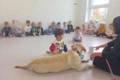 Messenger_creation_65AE1A6B-72A8-4601-A0F1-E2018BC988FA