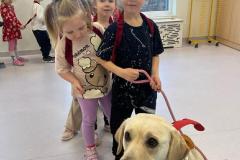 969d1d9a-89e5-456e-bbb1-8cc9c0d162c2