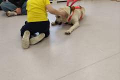 att._WlejZCEpL3PHJTMa-YynyhcNEKRaqsTsAd7LwxcRpQ