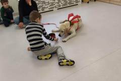 att.o_LulFt5cWqANU3g5OzgnyouTjOr0c6hsTPHsqDXPAE