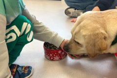 motion_photo_428050972253883132