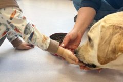 motion_photo_8387012740866808657