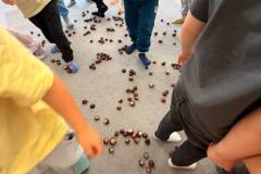 IMG-20261004-WA0021
