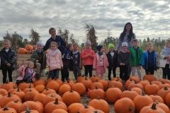 310645883_1530457184085821_8567676563003908858_n