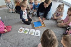 536cedef-e73b-4a6a-9cba-06e9ddff259c