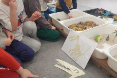 1d1a4ab3-9fef-487c-adfe-5a4ae788e708