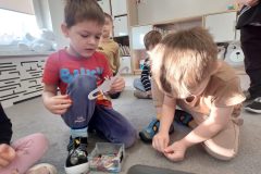 a9e25e26-484e-4117-bd3e-4990cd4f8e39