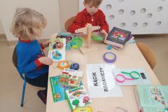 IMG_20241119_092608-3