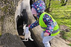 IMG_20250410_101141_Easy-Resize.com_