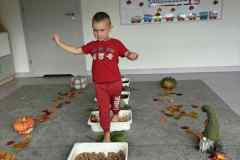 0016d567-24d4-49cd-8f20-902db4ffa315