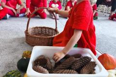 IMG_20250923_094637