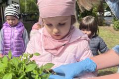 Messenger_creation_C5CE2479-872A-4C27-872E-6D24C97EC640