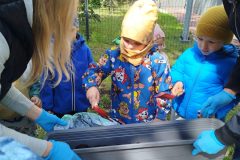 IMG_20250519_095322