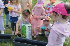 IMG_20260520_110341