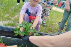 IMG_20260520_110641