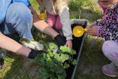 IMG-20260520-WA0004