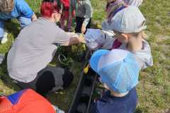 IMG-20260520-WA0008
