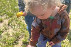 IMG-20260520-WA0012