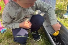 IMG-20260520-WA0019