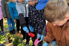 8ea99d75-bf90-44ba-bea2-68bb6b9118b9