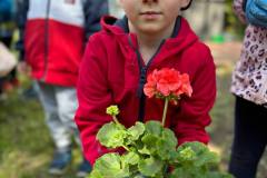 b177247e-edf5-4bed-9b5a-c2d8aca66ace