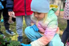 cf90c3e6-e860-4d0a-8043-01c31ebb4699