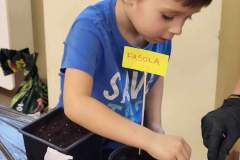 Messenger_creation_7173731160688598544