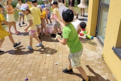 IMG_20260623_133147